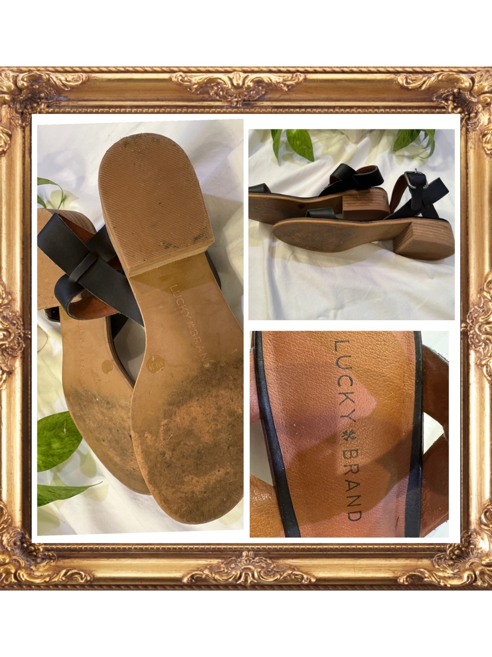 Classic Lucky Brand size 9 Black Women's Leather Sandals with Ankle Strap - Picture 2 of 2